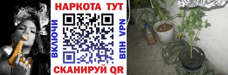 Купить наркотик аптеки Камешково Канабис АМФ ГАШ Alpha-PVP
