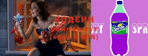 шишки Верея