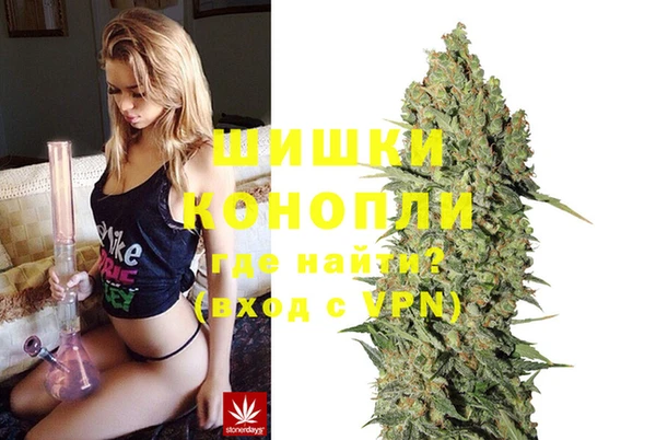 шишки Верея