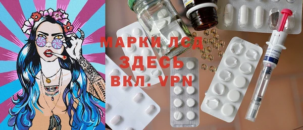 шишки Верея