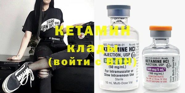 шишки Верея