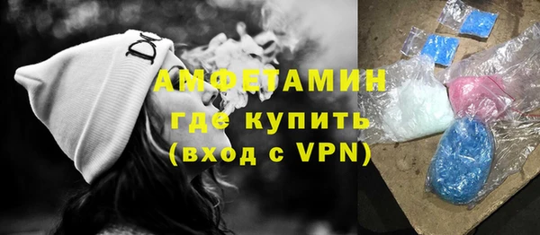 шишки Верея