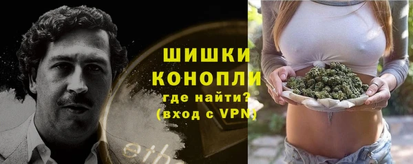 шишки Верея