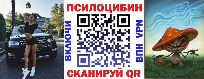 Галлюциногенные грибы MAGIC MUSHROOMS  наркота  Камешково 